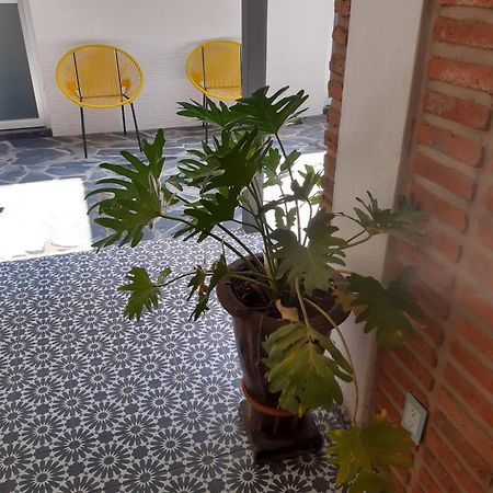 Estudio #5 Casa Fatima, 8 Min Del Centro 1 Persona Guadalajara Extérieur photo