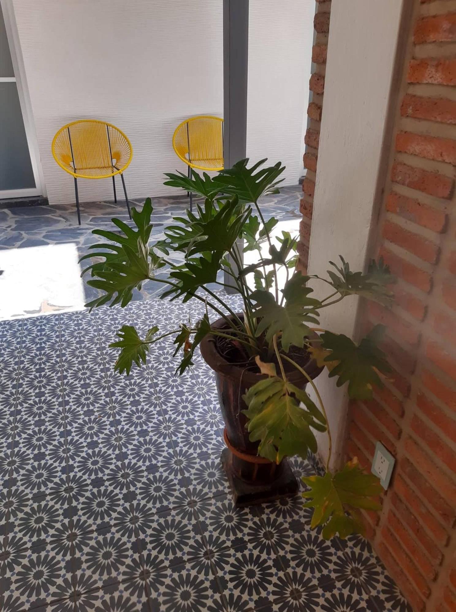 Estudio #5 Casa Fatima, 8 Min Del Centro 1 Persona Guadalajara Extérieur photo